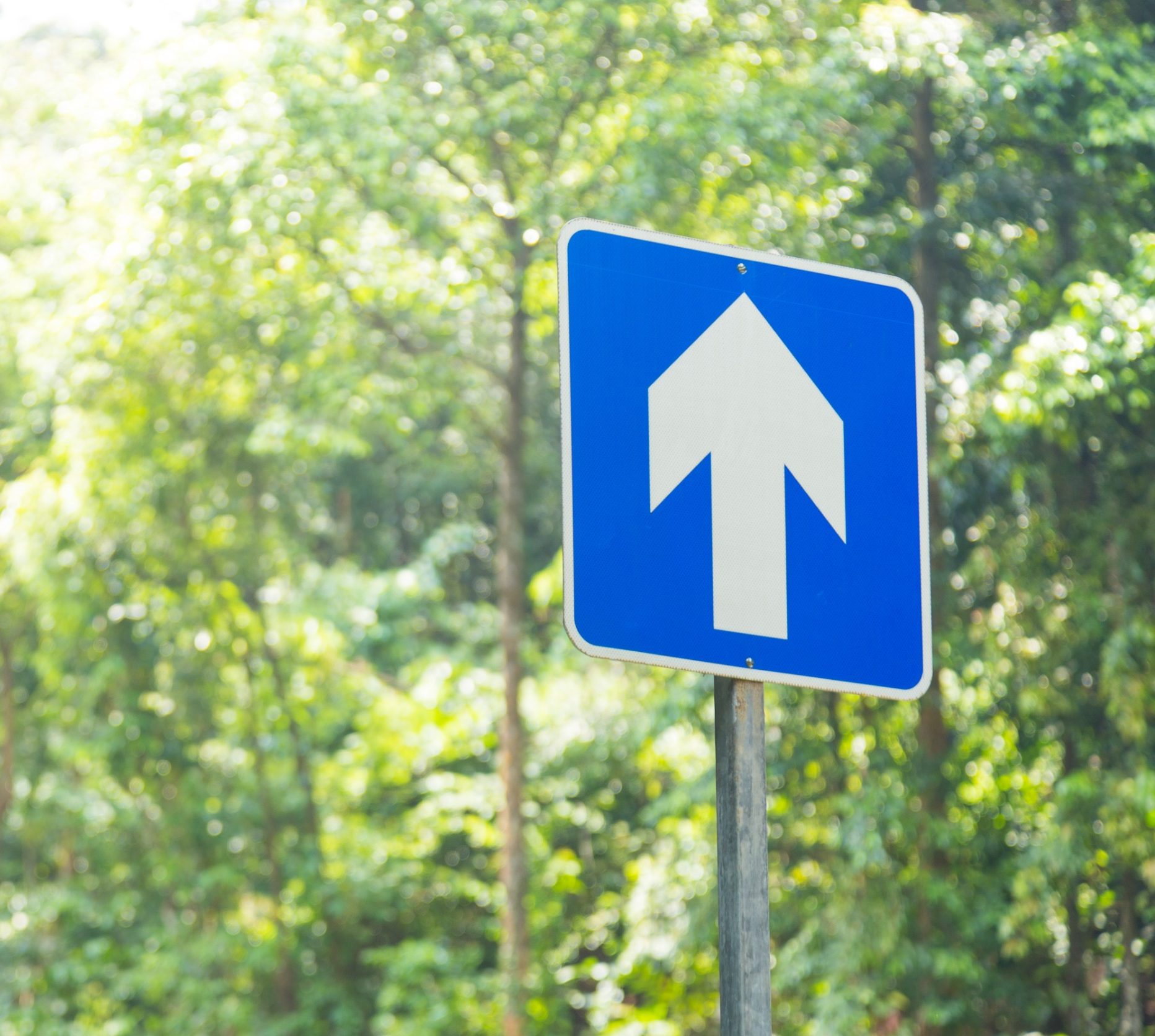 Arrow Sign in the Park