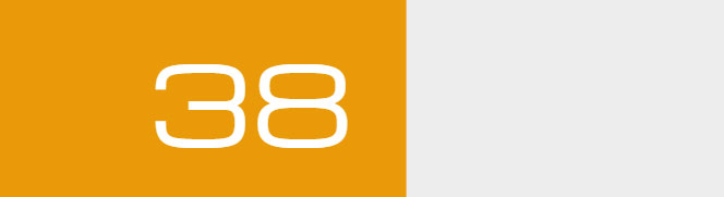 Overall Score - 38