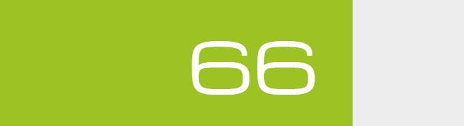 Overall Score - 66