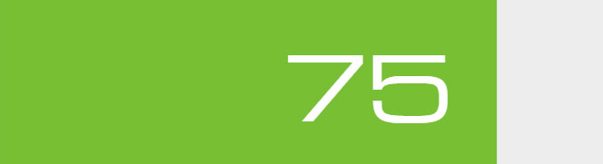 Overall Score - 75